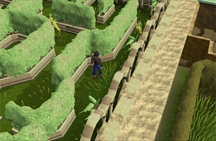 Sorceress’s Garden