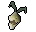 Carved evil turnip