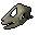 Lizard skull