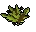 Grimy snake weed