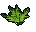 Clean snake weed