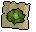 Cabbage