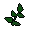 Equa leaves