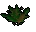 Grimy dwarf weed