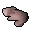 Raw rabbit