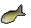 Raw mackerel