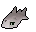 Raw tuna