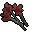 Exotic flower