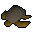 Sea turtle