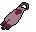 Team-8 cape