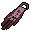 Team-10 cape