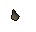 Banana tree seed