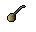 Onion seed