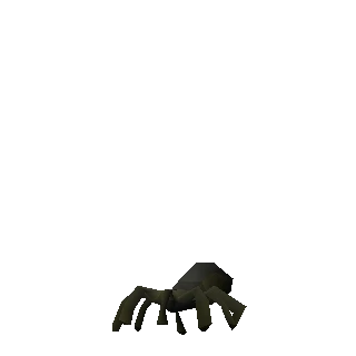 Spider