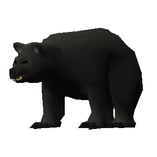 Black bear