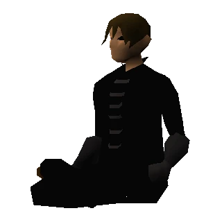 Soldier