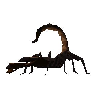 Scorpion
