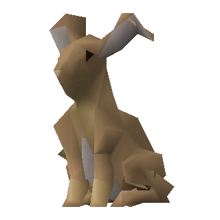 Rabbit