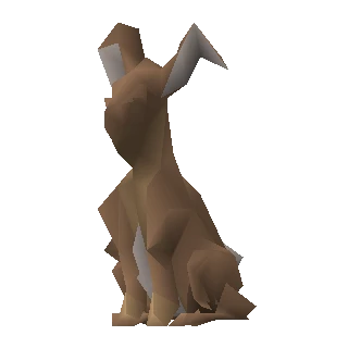 Rabbit