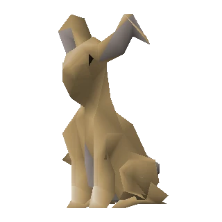 Rabbit