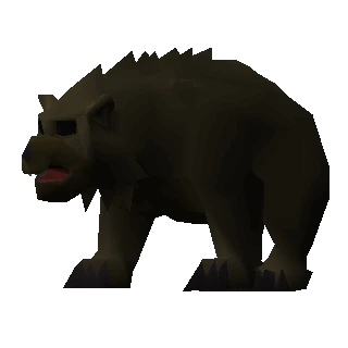 Grizzly bear cub