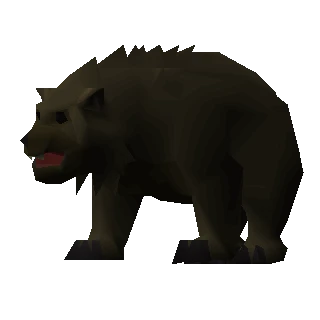 Grizzly bear cub
