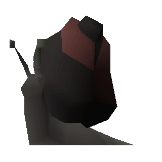 Blood Blamish Snail