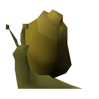 Ochre Blamish Snail
