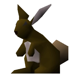 Bunny