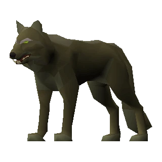 Jungle Wolf