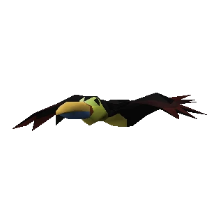 Bird