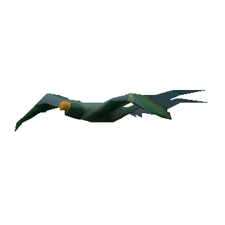 Bird