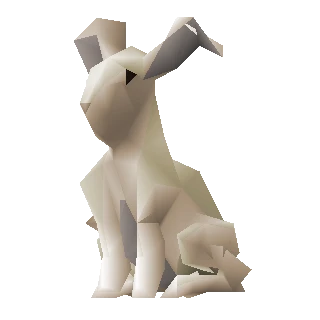Rabbit