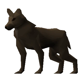 Wild dog