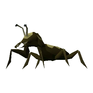 Cave bug