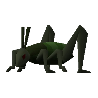 Locust