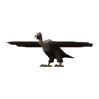 Vulture