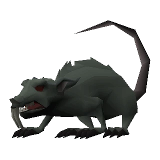 Giant crypt rat