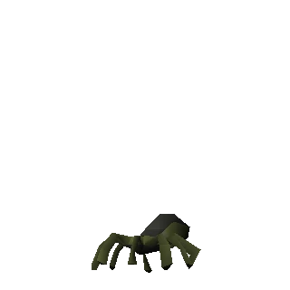 Crypt spider