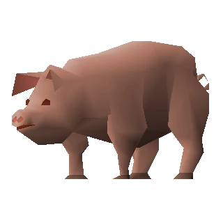 Pig