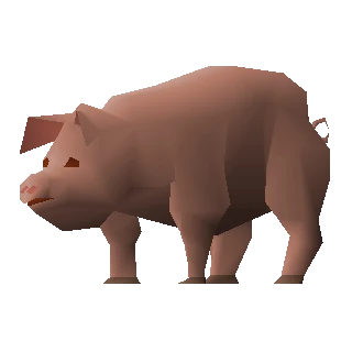 Pig
