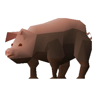 Pig