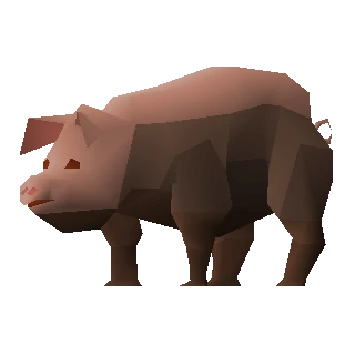 Pig