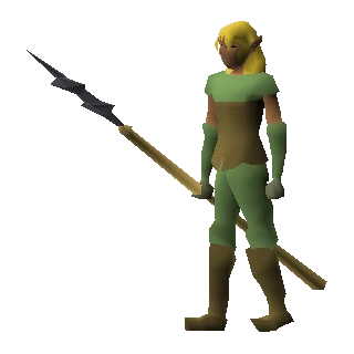 Elf warrior