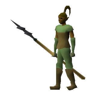 Elf warrior