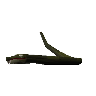 Bush snake