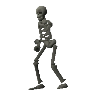 Skeleton