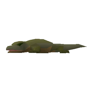 Lizard