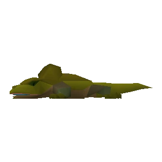 Desert Lizard