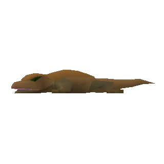 Desert Lizard